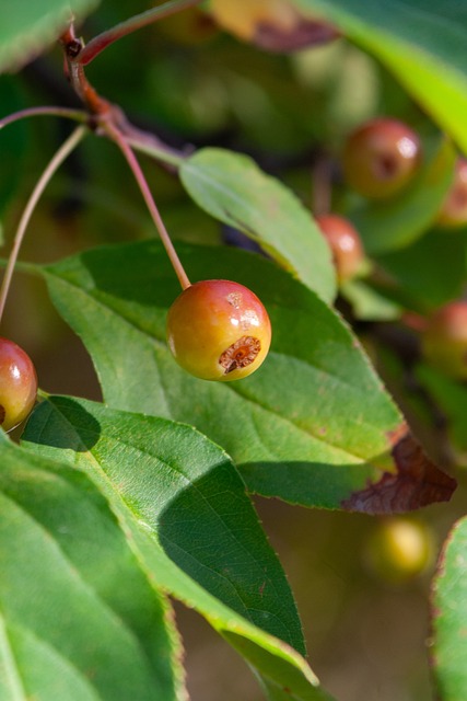 星球员在关 星球员在关