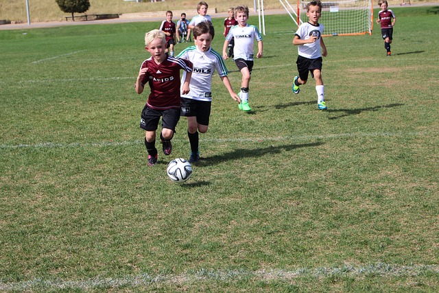 这样的顶级 这样的顶级