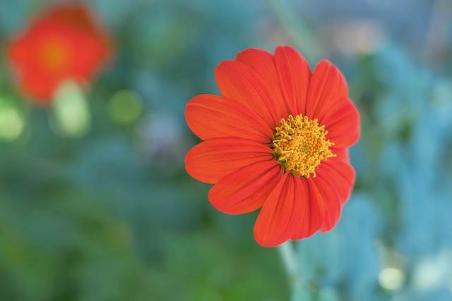 无球跑动方 无球跑动方