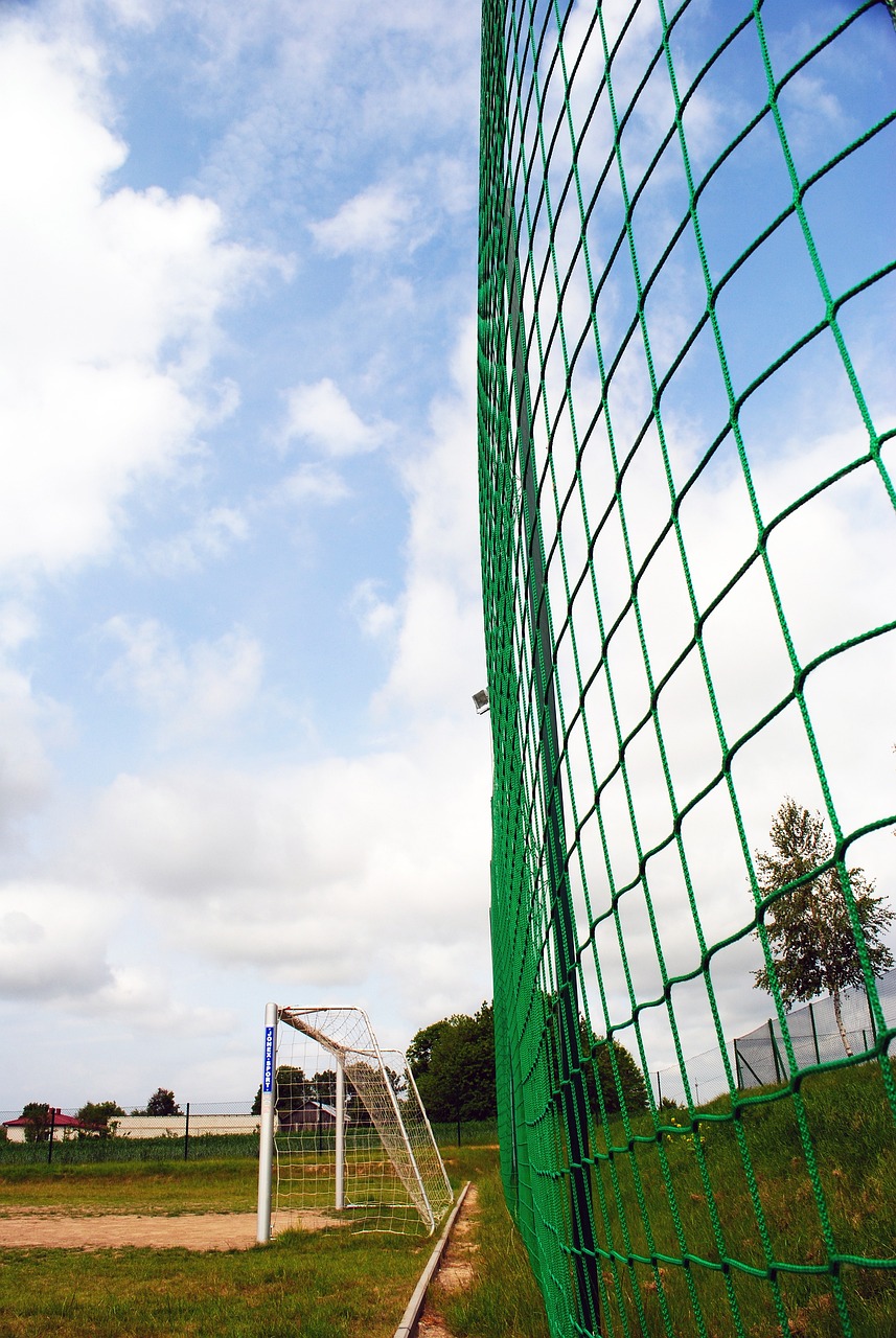 制化的金融 制化的金融