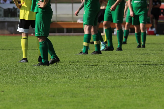 而這個比例 而這個比例