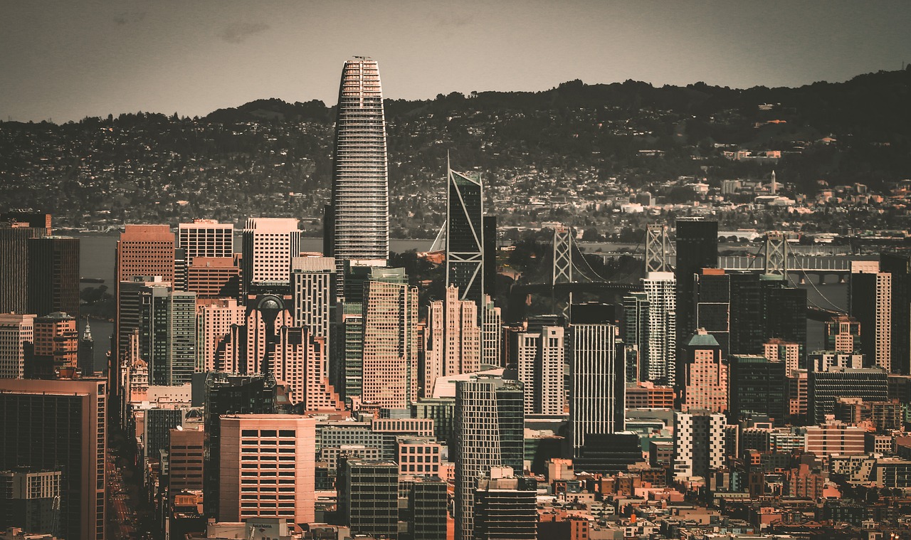 亮未来的写 亮未来的写